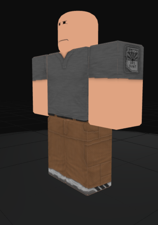 Arizona DPS SWAT uniform set, grey polo with patch-detailed shoulder rig and brown tactical pants
